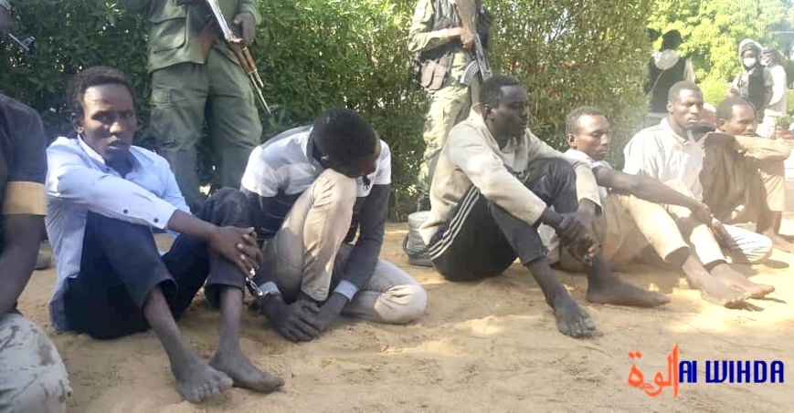 Des bandits tchadiens après leur arrestation