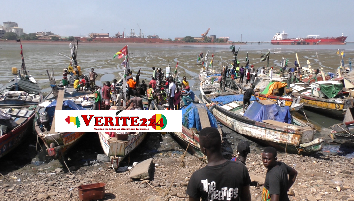 Des pirogues au Port Petit Bateau