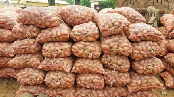 Des sacs de pommes de terre