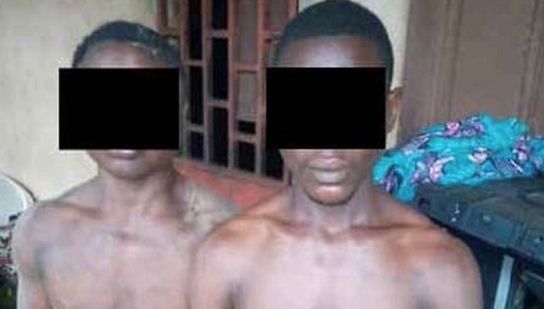 Des voleurs arrêtés par la police (image d'illustration)