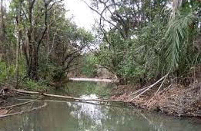 Le fleuve Koukoutamba