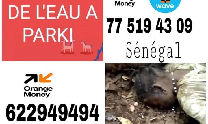 Cagnotte lancée après la tragique fin d’Assiatou Sy à la quête de l’eau