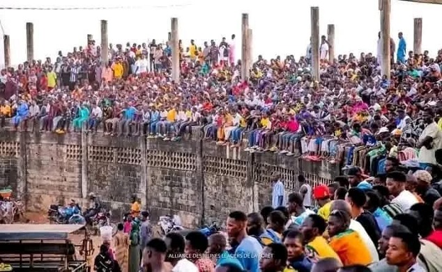 Image d'une foule de spectacteurs avec la bousculade mortelle au stade de N'zérékoré